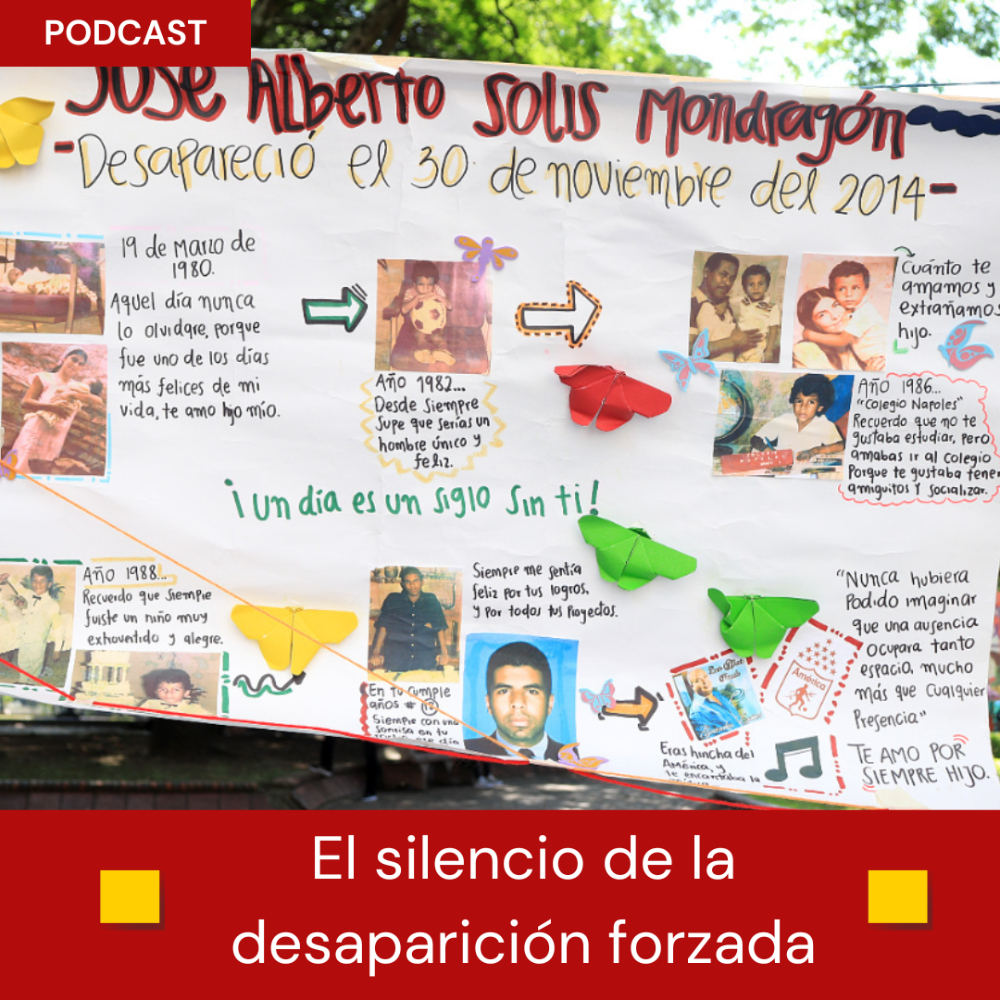 Desaparecidos 22