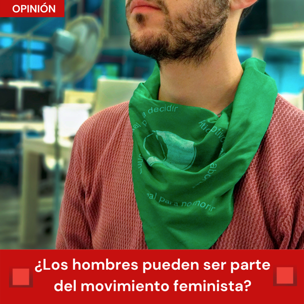 Hombre feminista 2