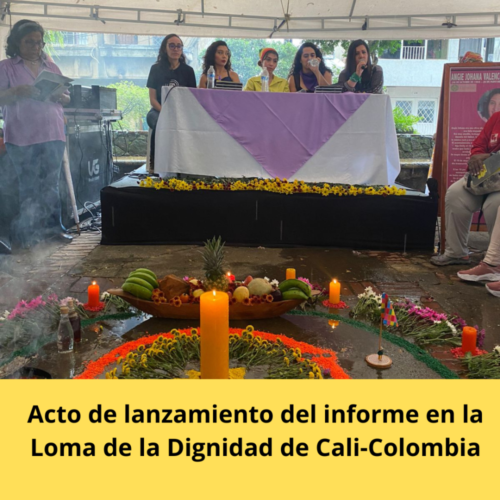 Lanzamiento Aministía