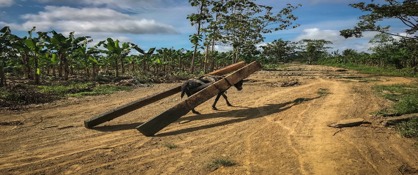 Narrativas de la guerra 1