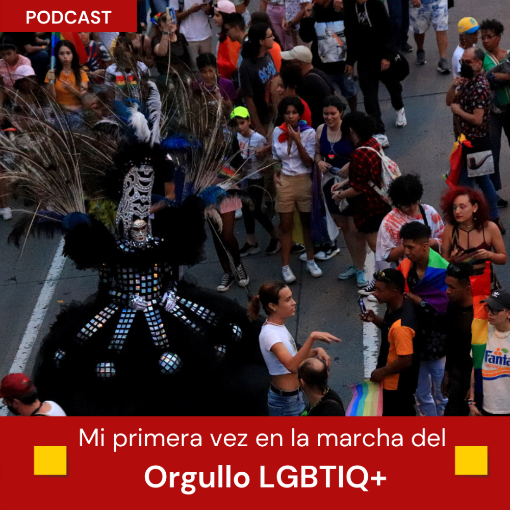 Orgullo LGBTIQ 2