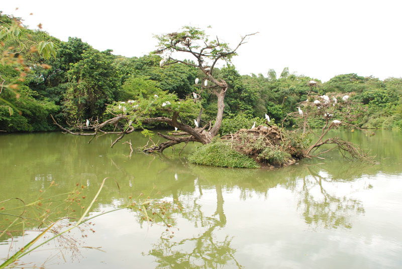 Parque Garzas