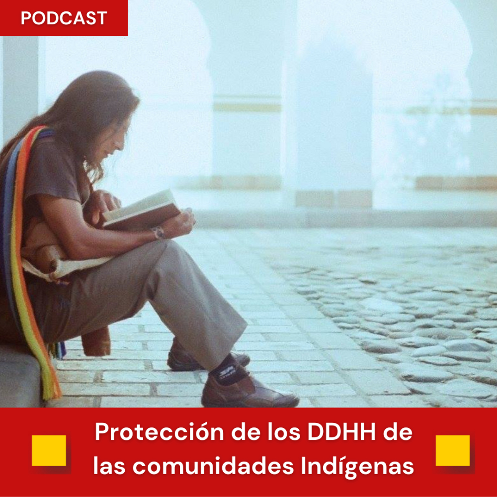 Portada DDHH indigenas 2