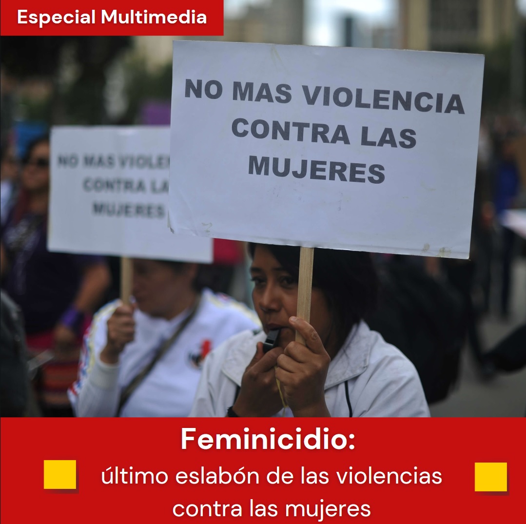 Portada Feminicidios 2019