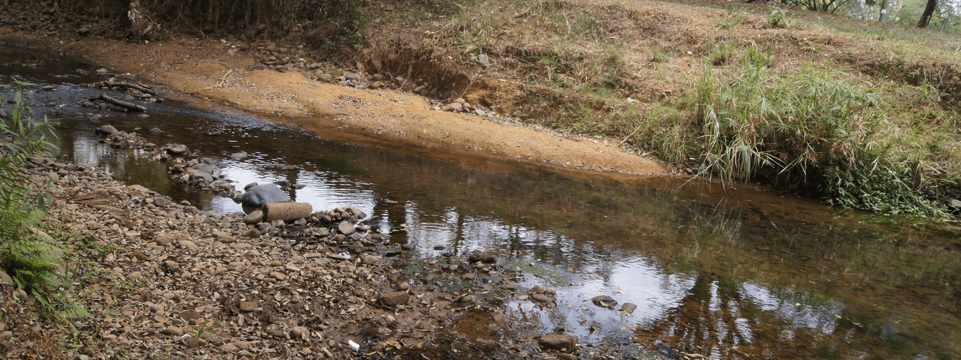 Río Meléndez