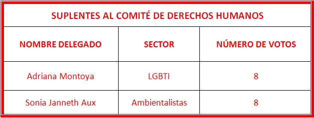 Suplentes comité