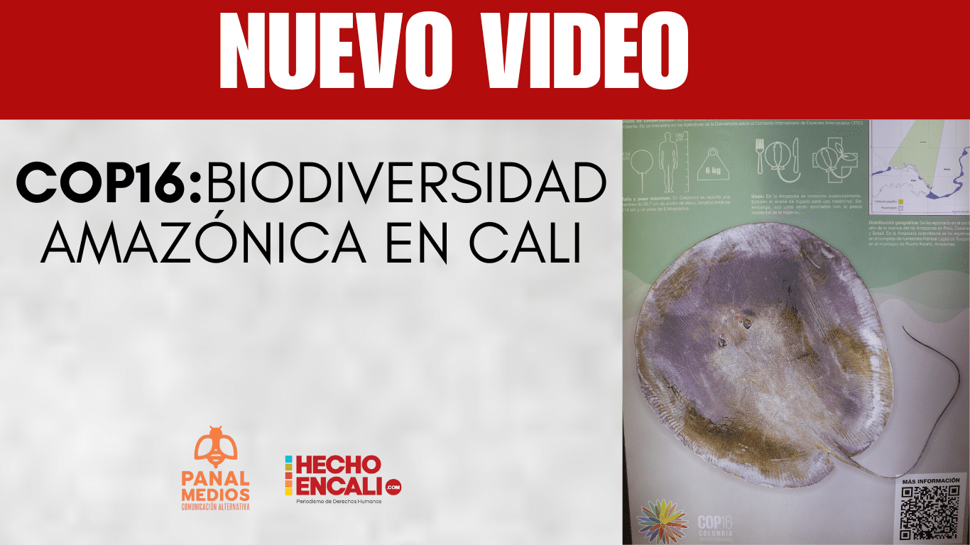 COP16: Biodiversidad amazónica en Cali